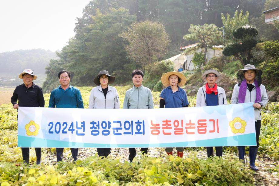 2024년 하반기 농촌일손돕기(10.17) 이미지