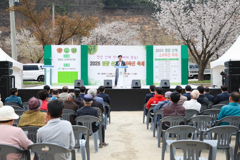 청양 산채 소비 촉진전(4.12) 이미지