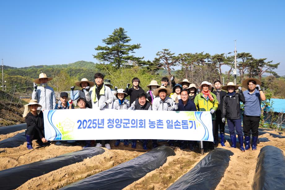 2025년 상반기 농촌일손돕기(4.28) 이미지