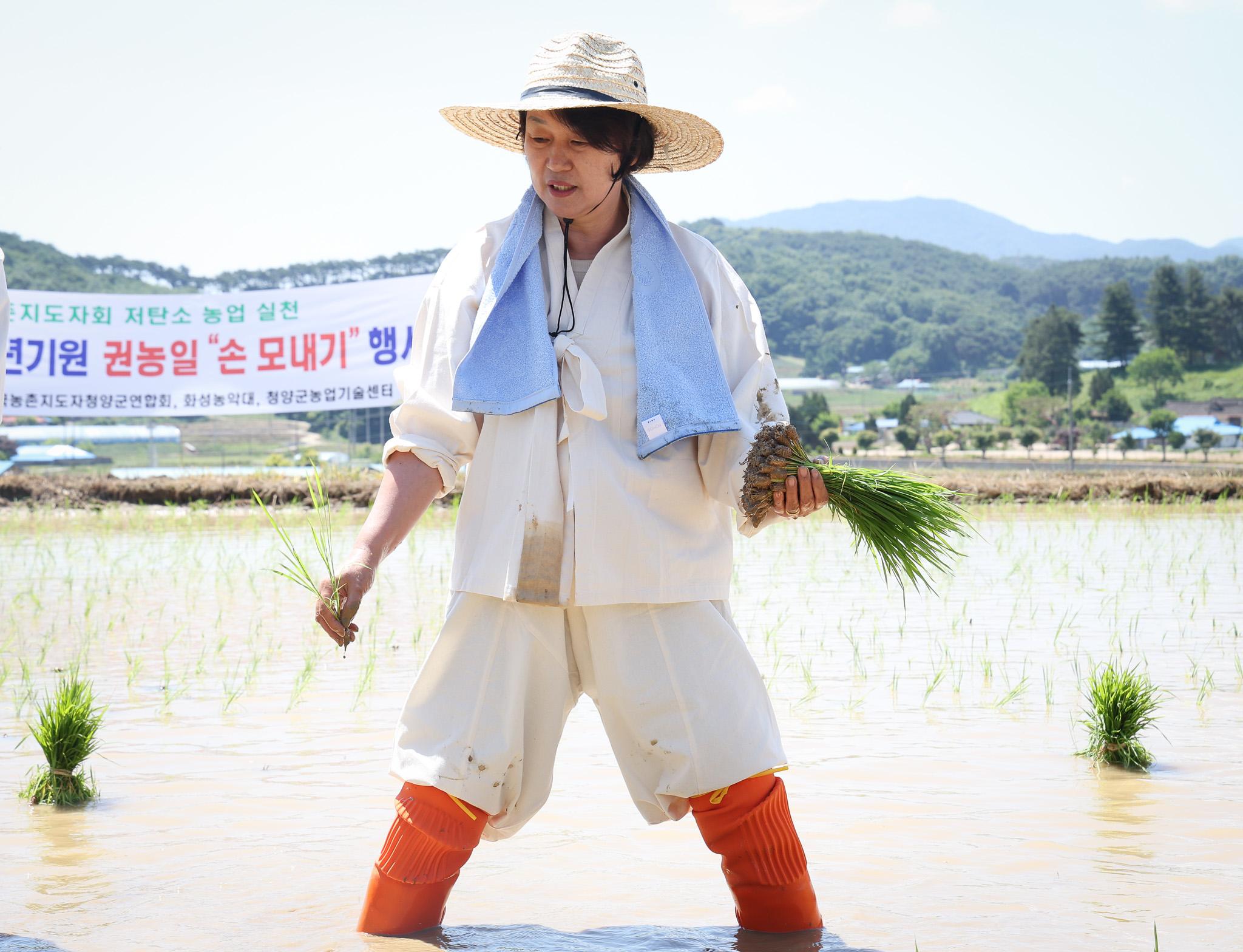 해당파일이미지
