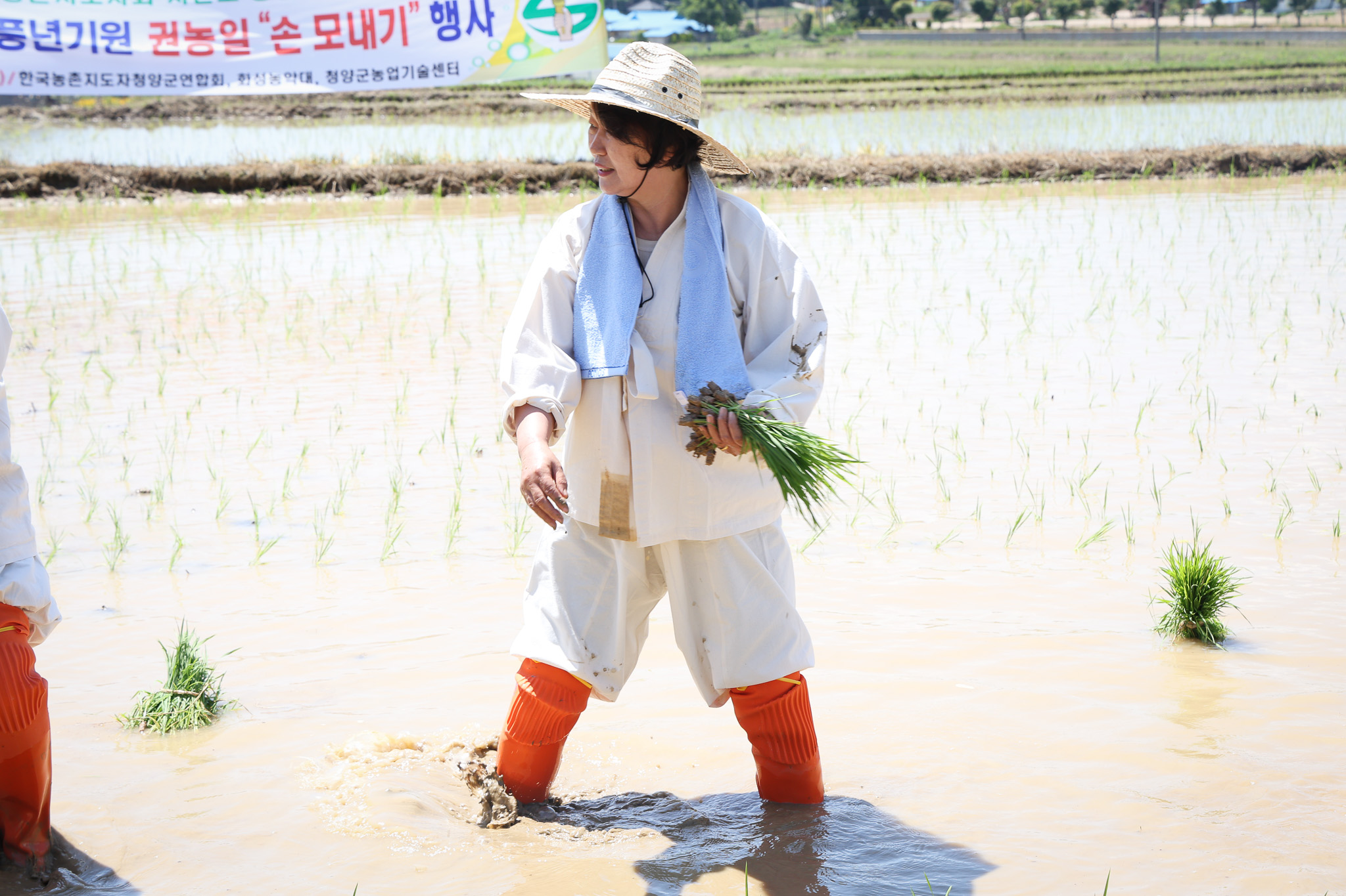 해당파일이미지