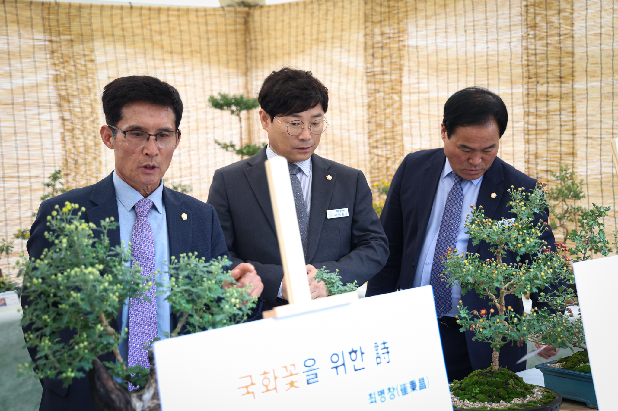 해당파일이미지