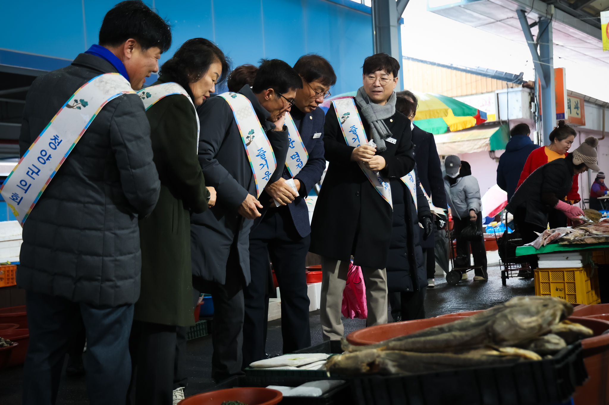 해당파일이미지