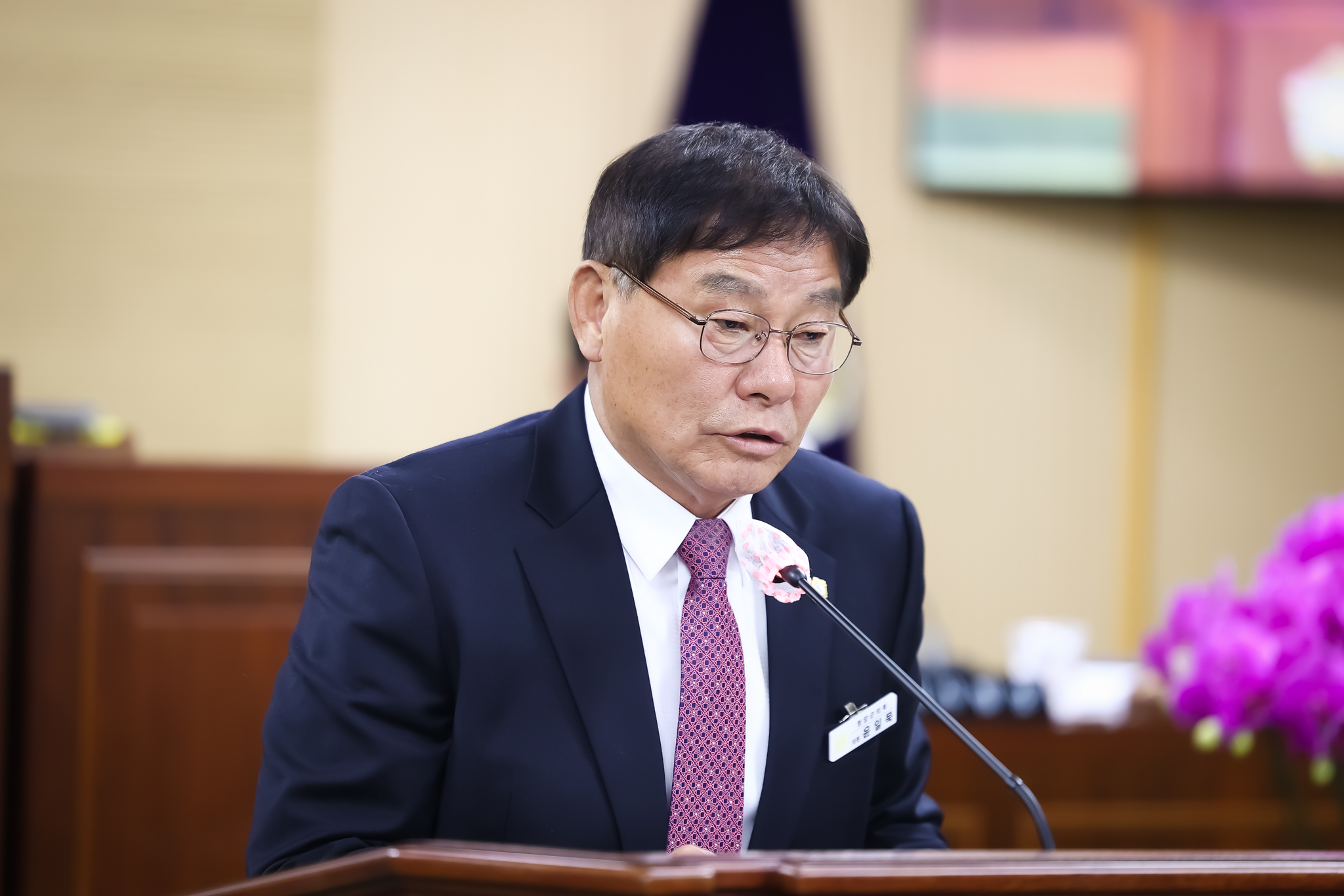 해당파일이미지