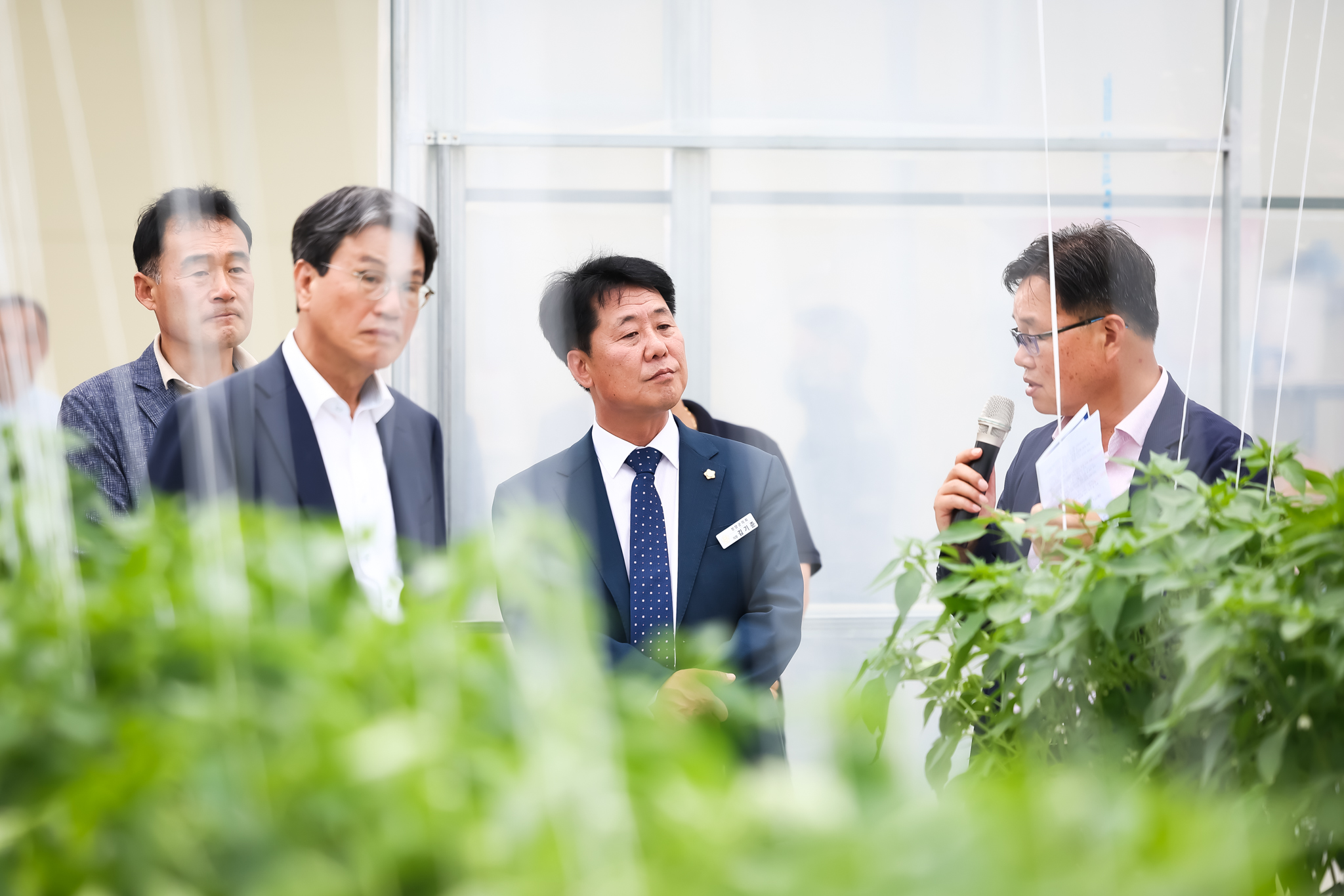 해당파일이미지