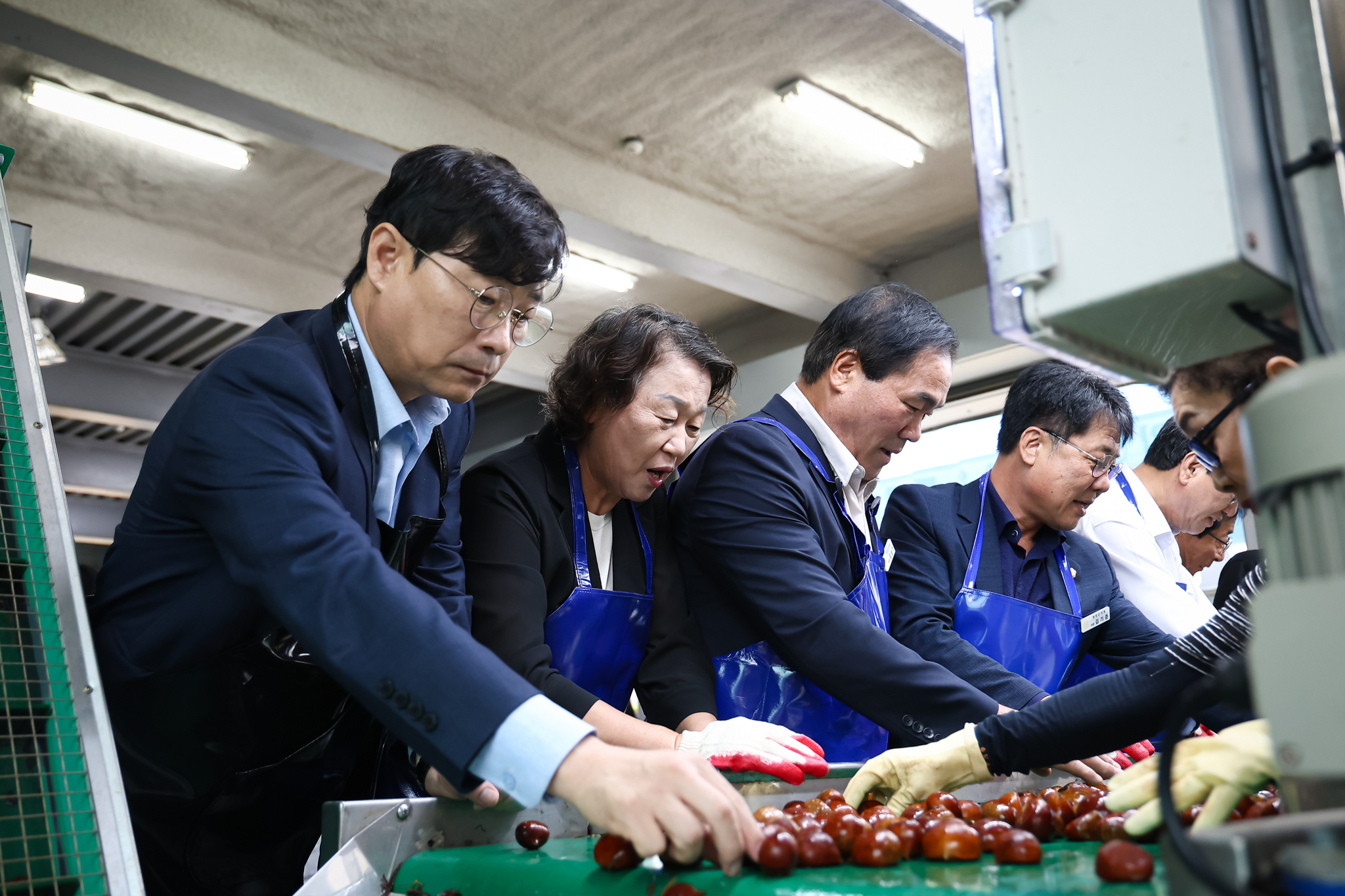 해당파일이미지
