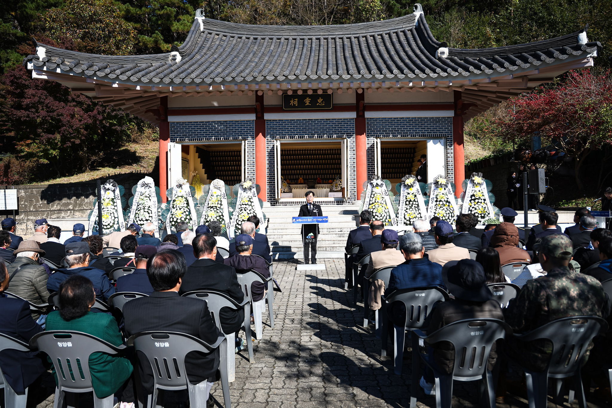 해당파일이미지