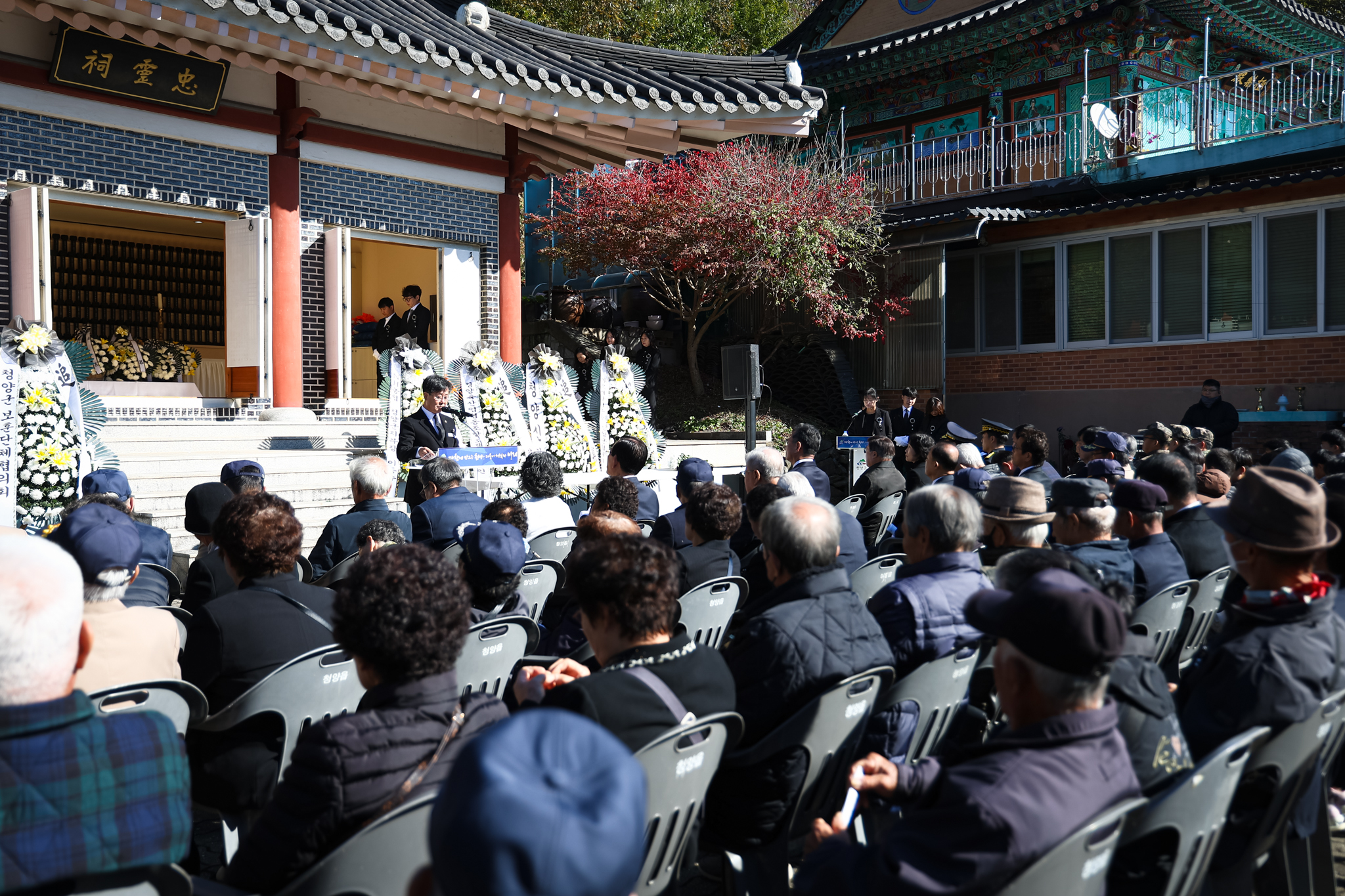 해당파일이미지