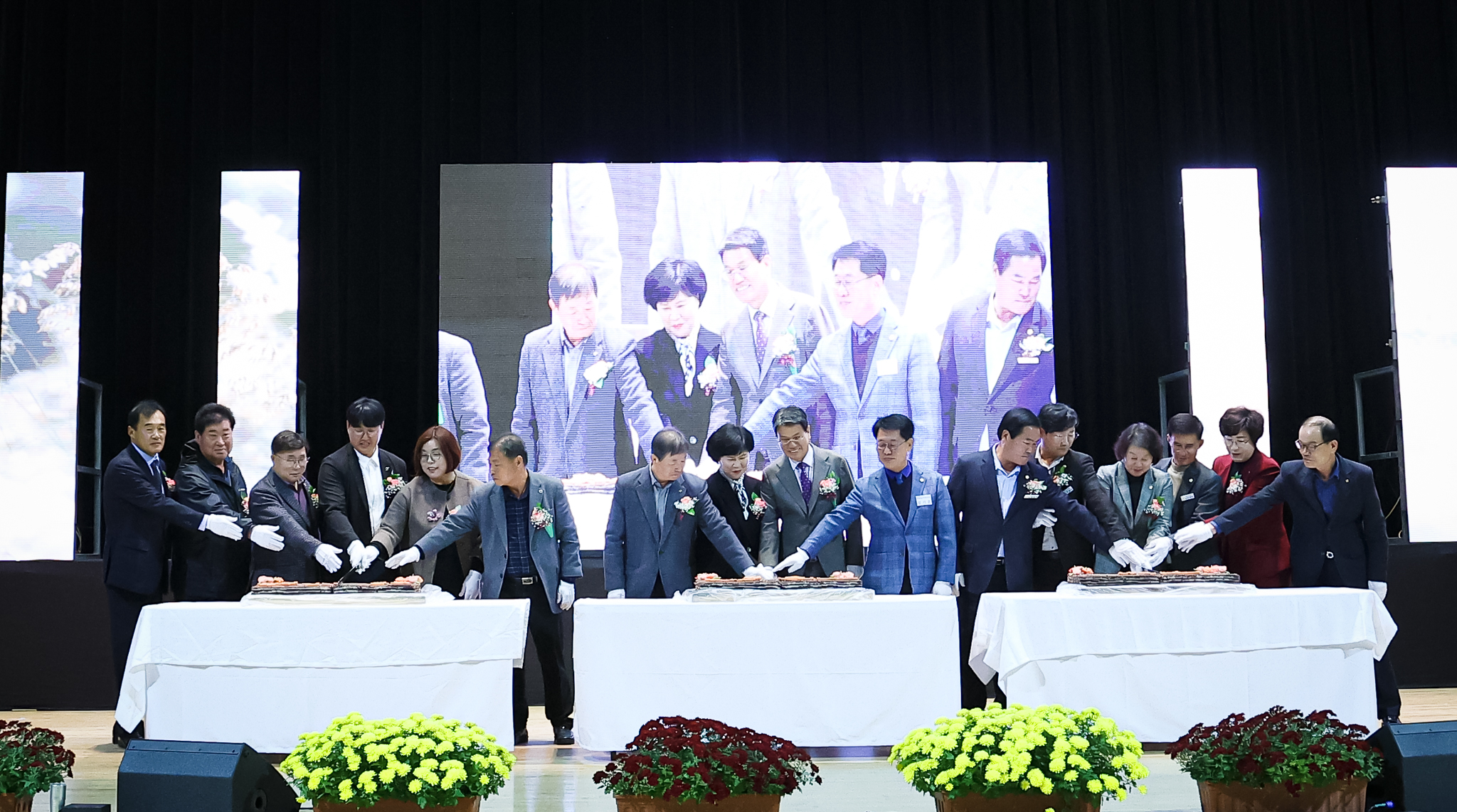 해당파일이미지