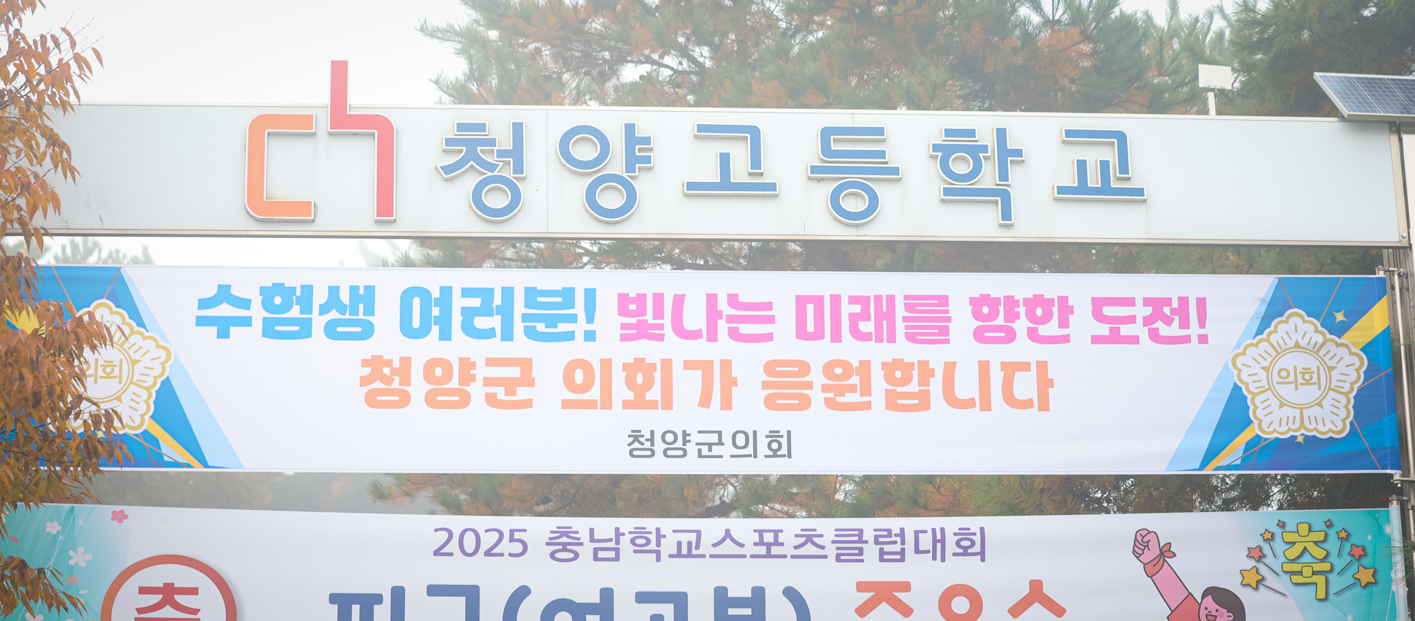 해당파일이미지