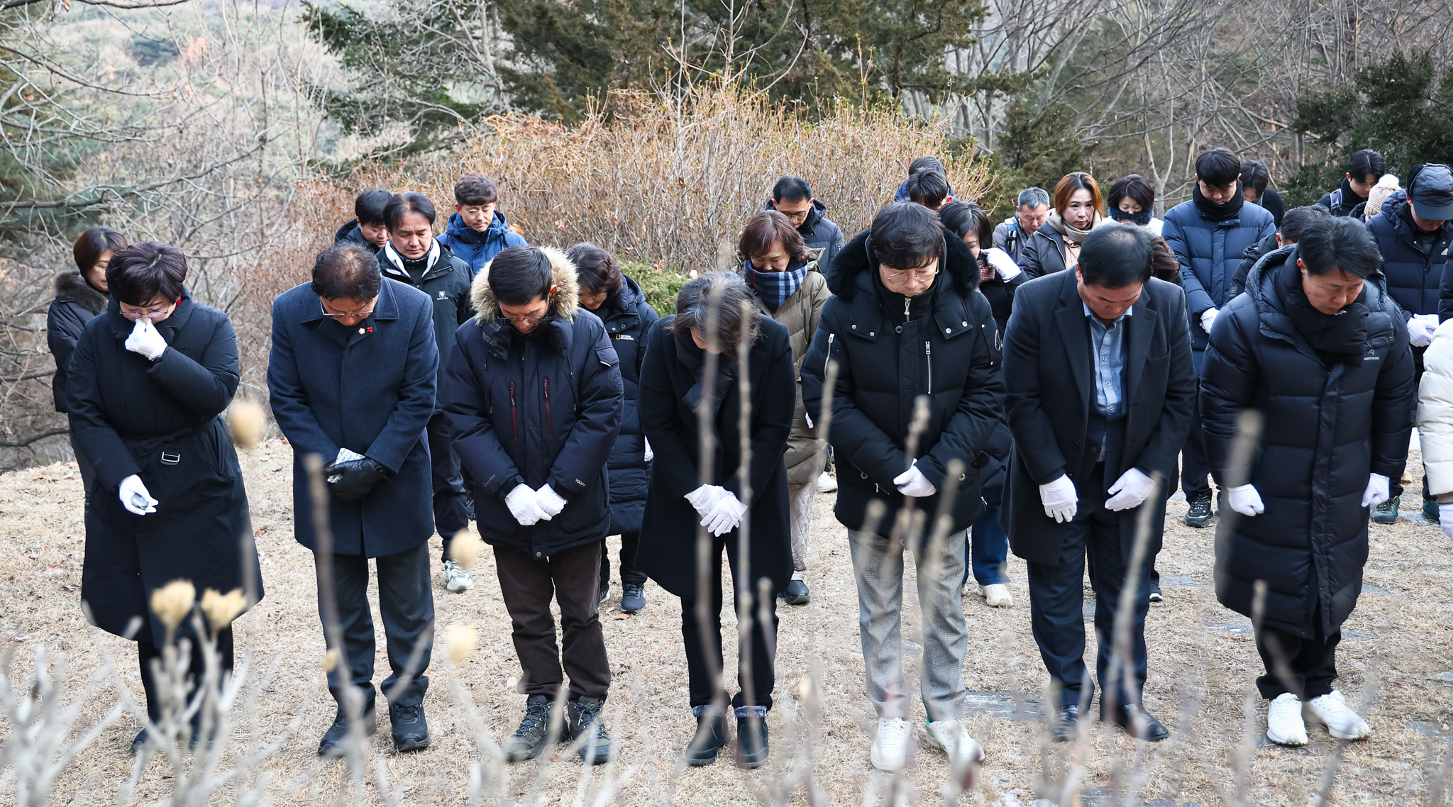 해당파일이미지