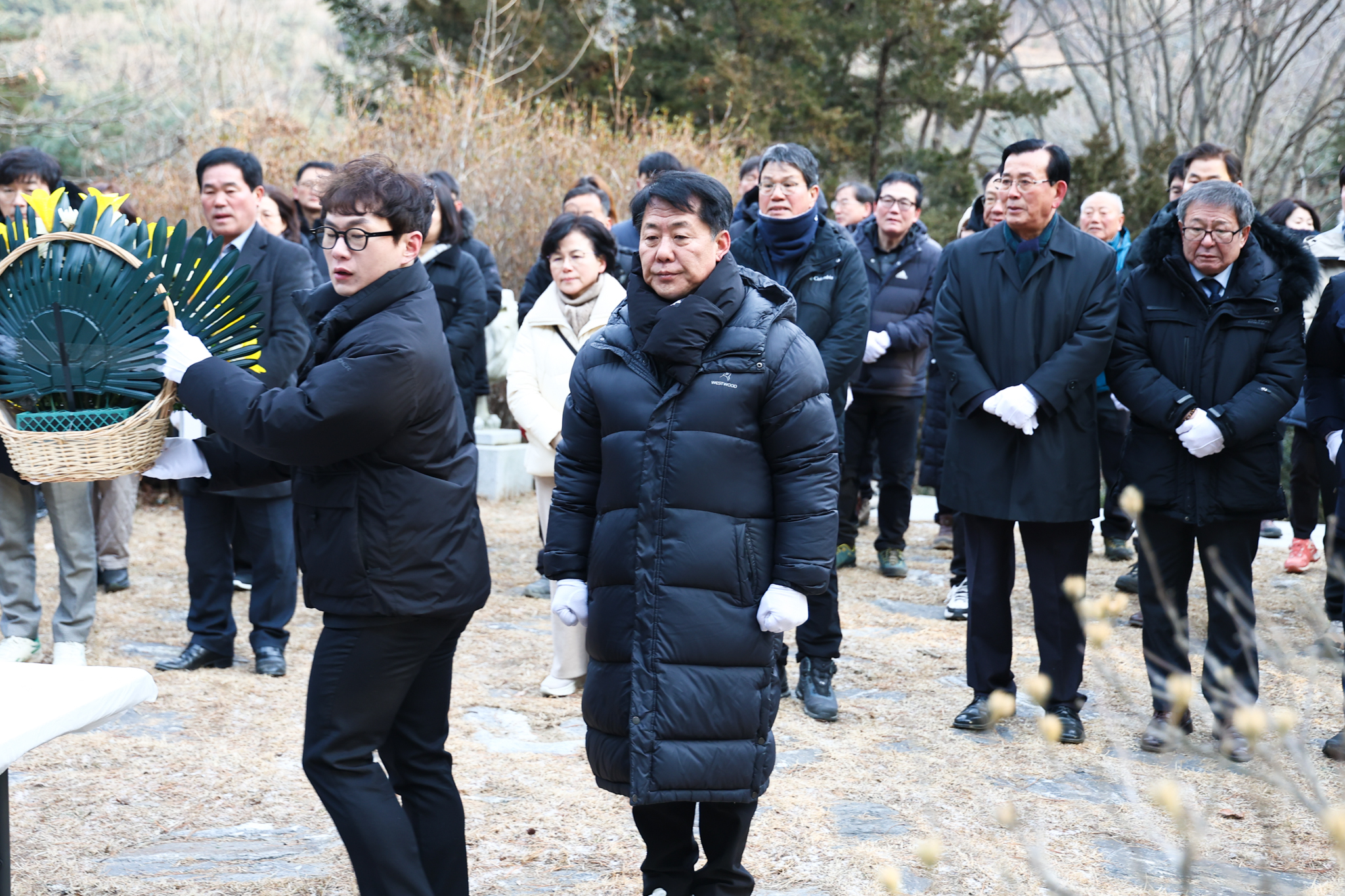 해당파일이미지