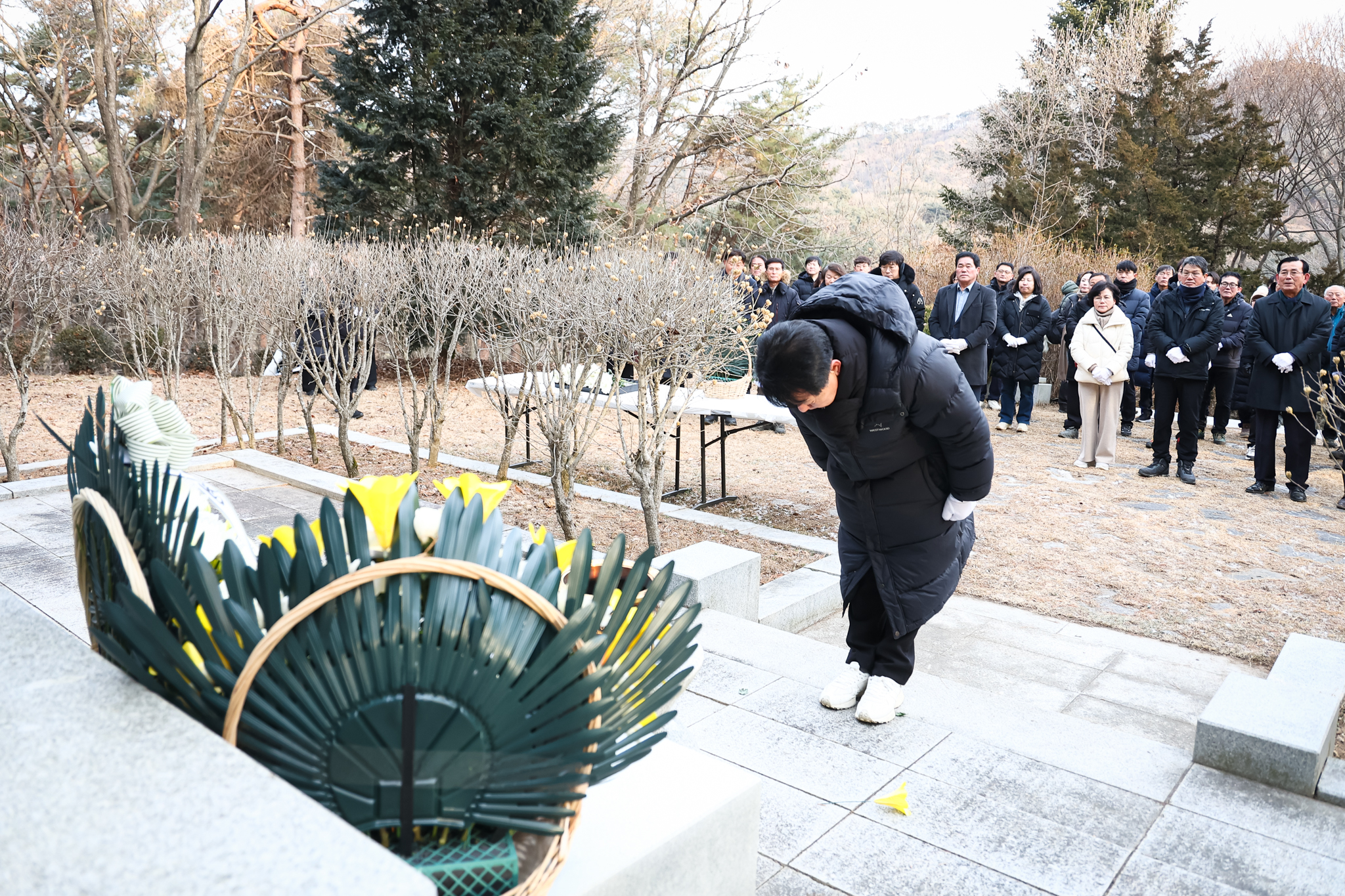 해당파일이미지