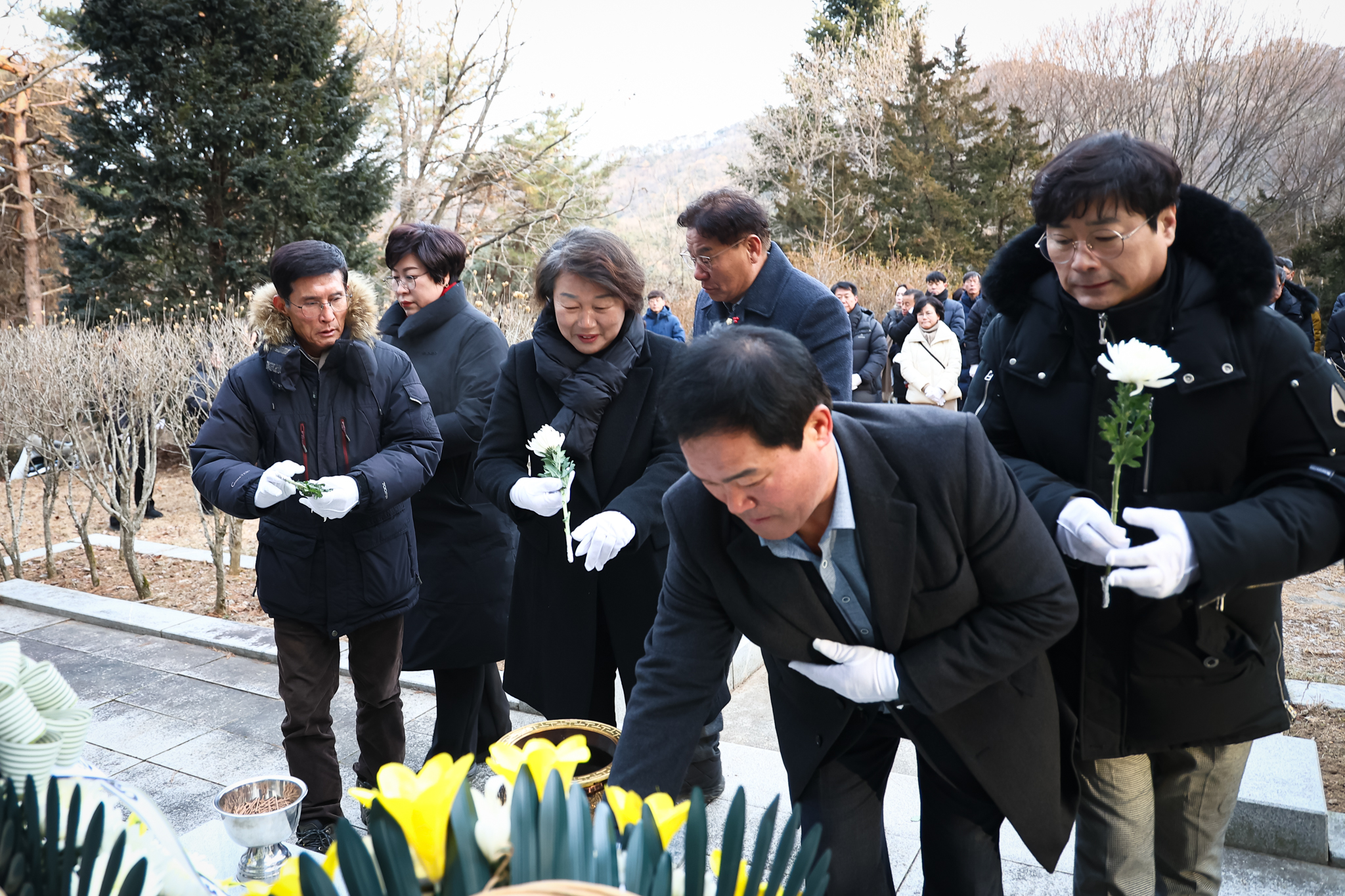 해당파일이미지