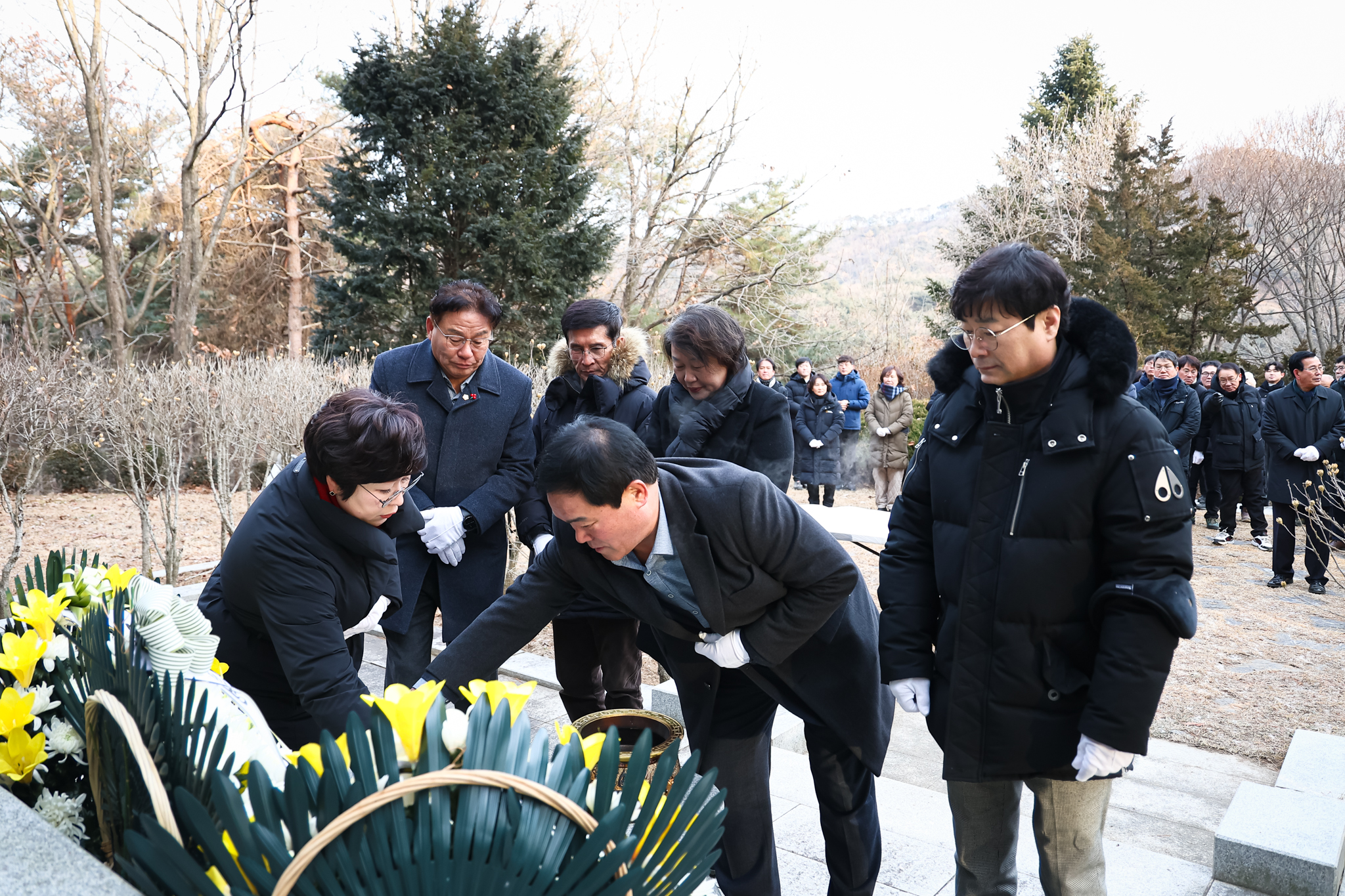 해당파일이미지