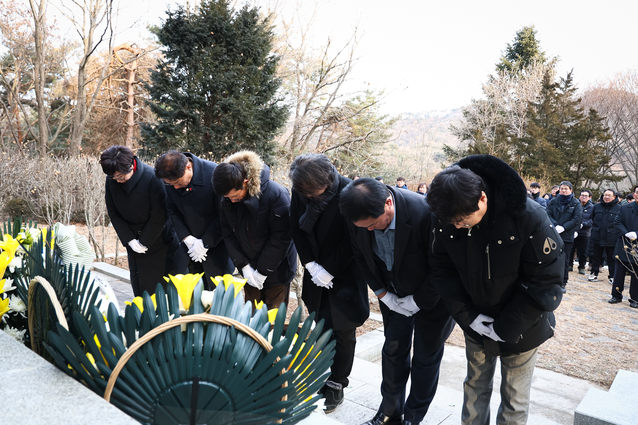 해당파일이미지